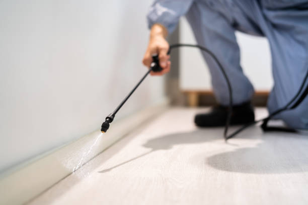 Licensed Mosquito Control service in Fowler, MI - Nex Pest Control
