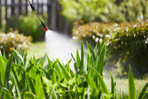 24/7 Emergency Mosquito Control experts in Fowler, MI