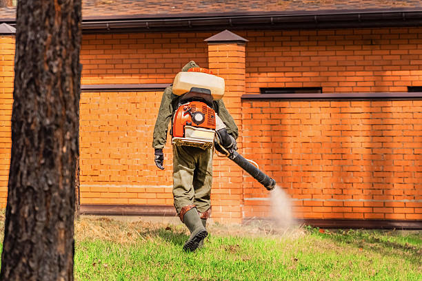 Top rated local Mosquito Control specialists in Fowler, MI